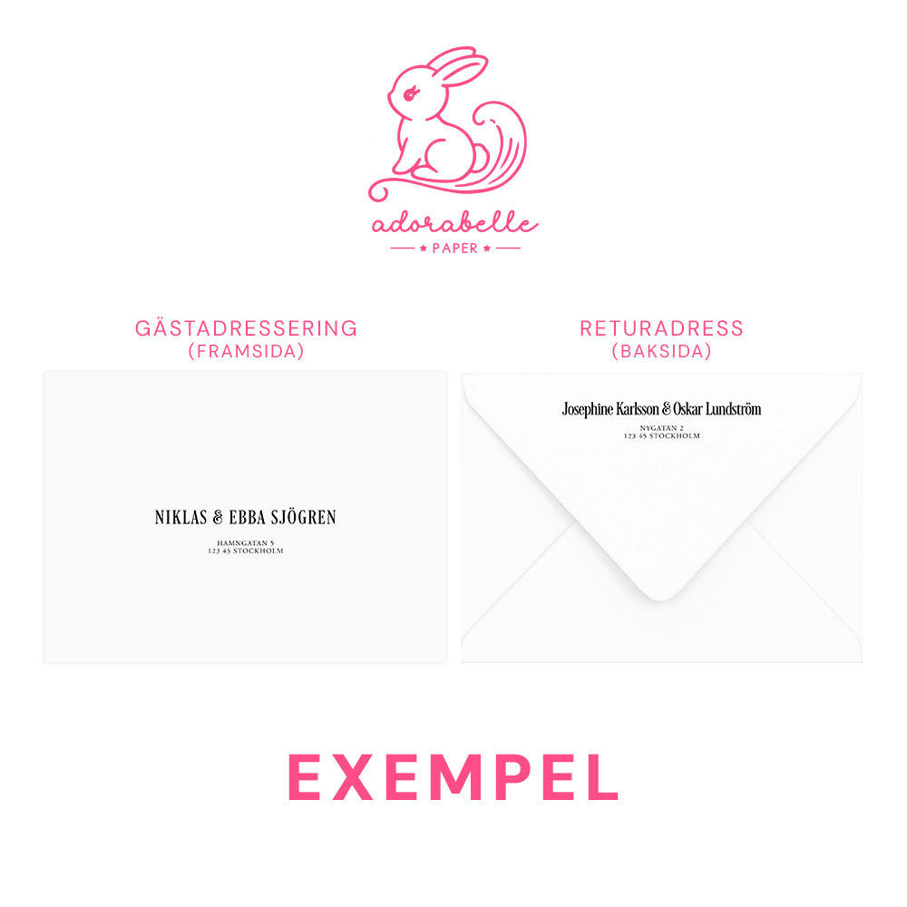 Pocket Bröllopsinbjudan - Rosa Boho rosa akvarell & pampasdesign – BR011